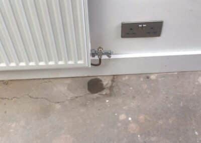 southern cross plumbing ratedpeople gallery 015